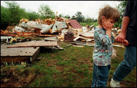 Picking up the pieces - All images copyright Lisa Nipp 2010
