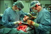 Surgical fellow Dr. Adras Kollar, left, prepares to pass the new heart and lungs off to lead surgeon, Dr. Richard Pierson, right, for placement in Marcia's empty chest cavity. - All images copyright Lisa Nipp 2010