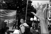 Stumpin' - All images copyright Lisa Nipp 2010